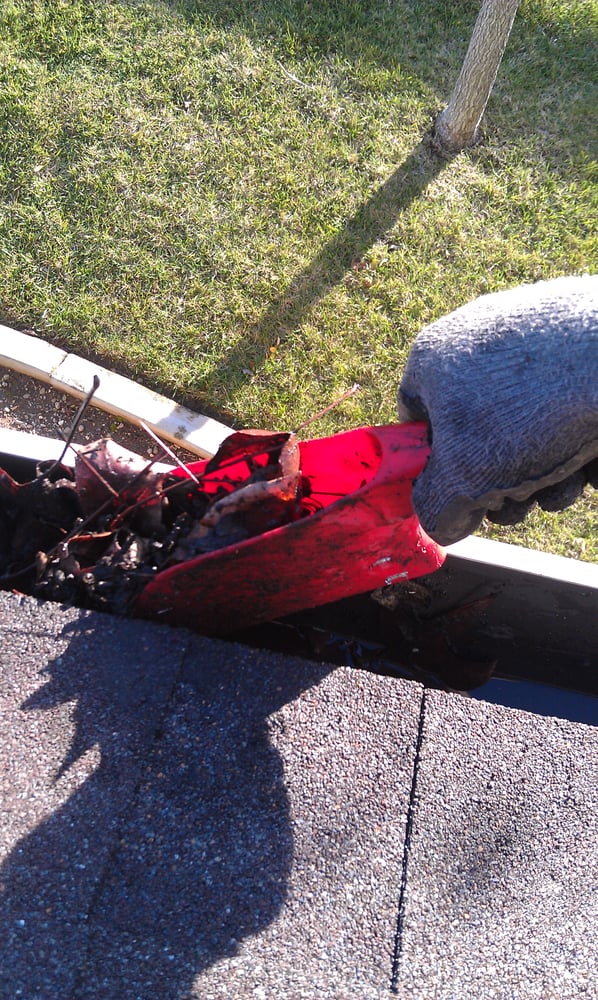 The Best Time Of Year For Gutter Cleaning