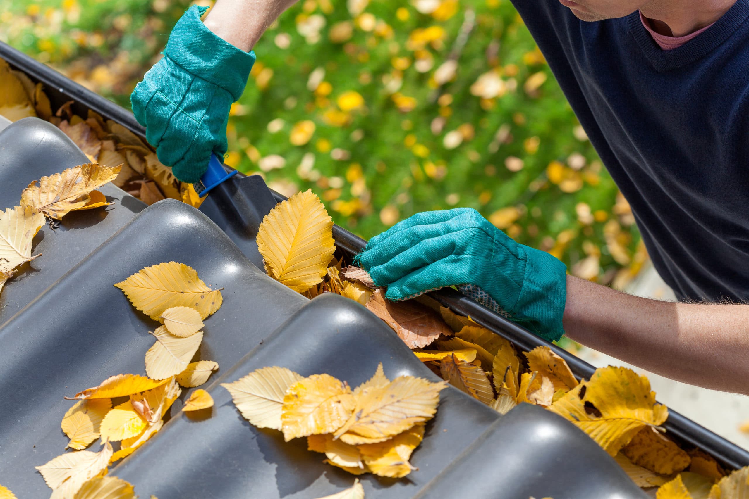 regular gutter cleaning Clogged gutters, Sacramento, CA