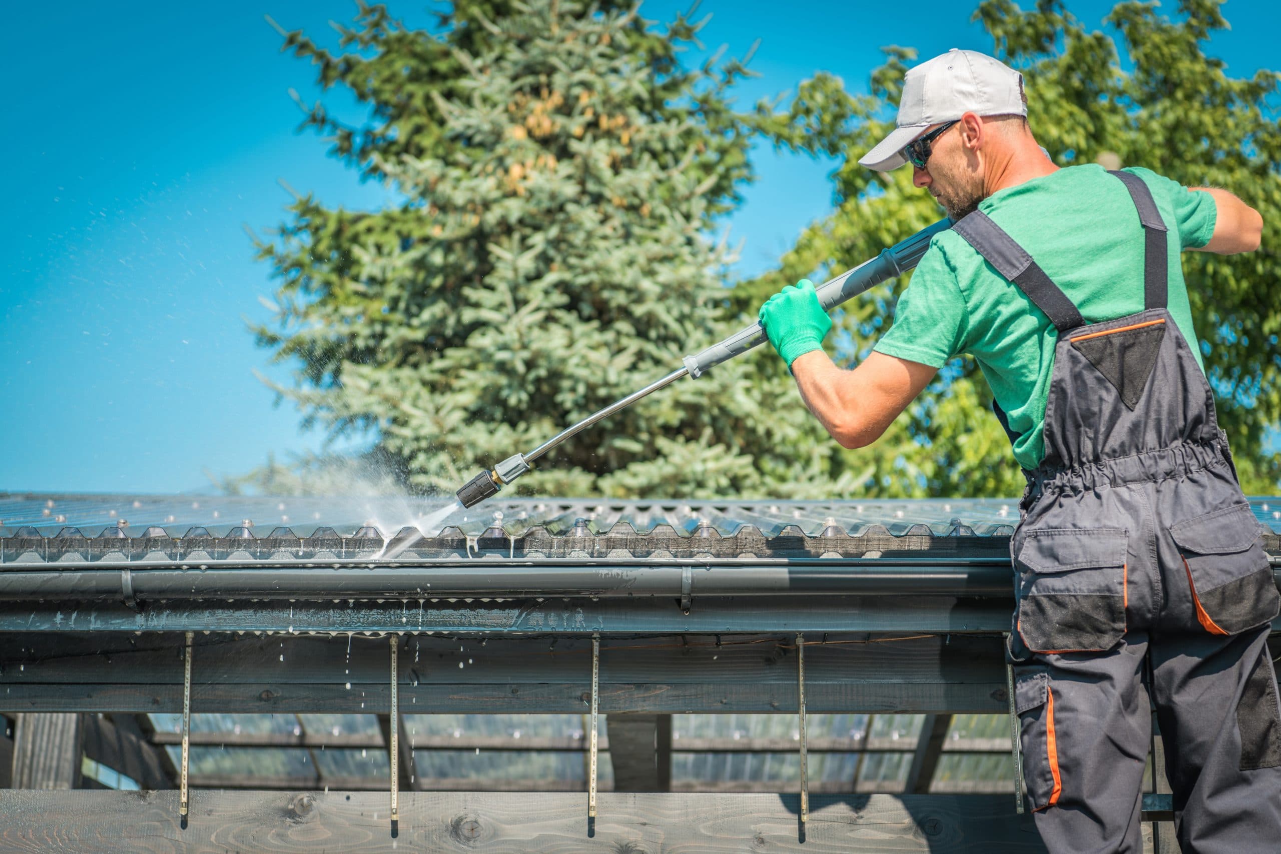 Why You Need Roof Cleaning