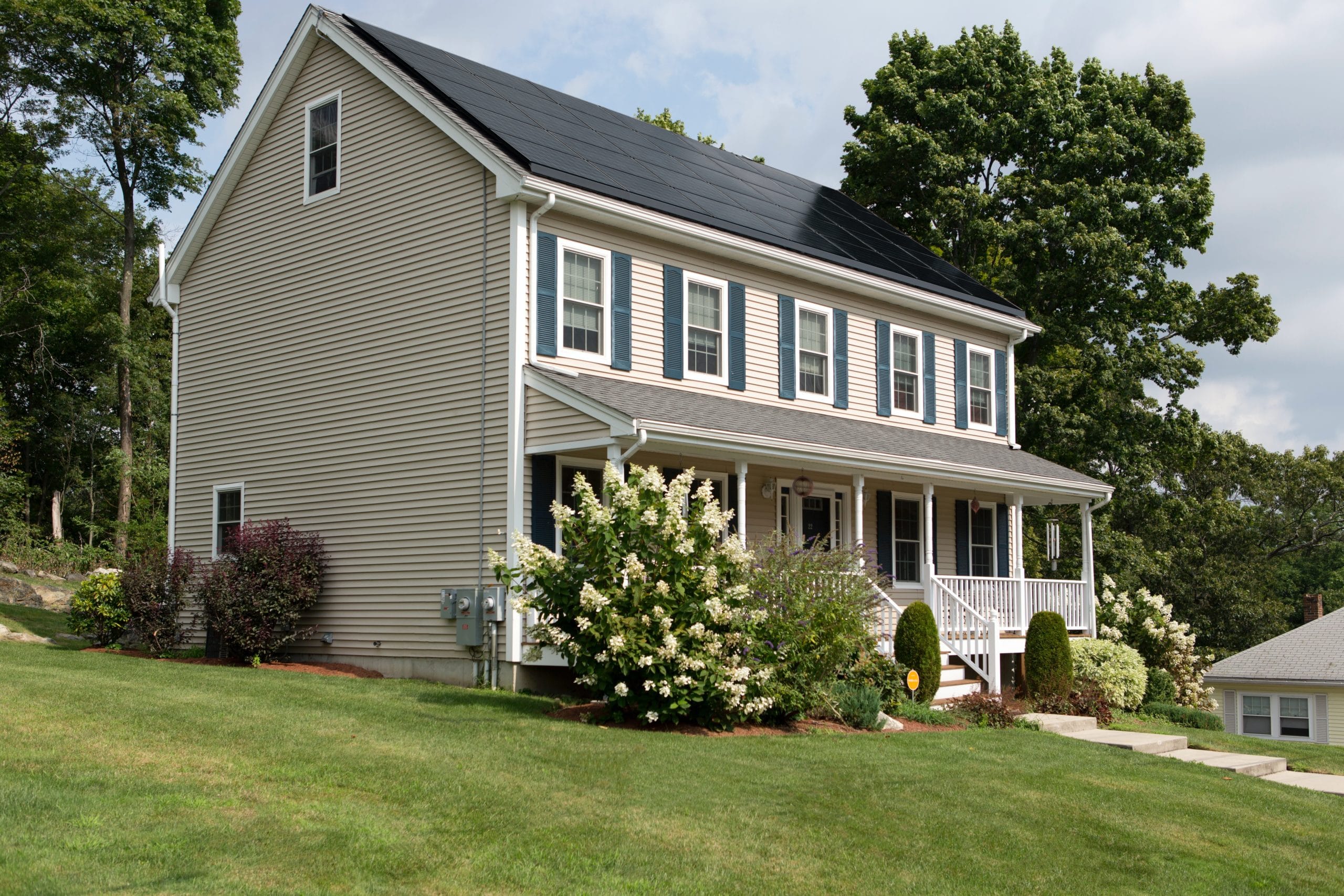 solar panel cleaning Homes with large trees