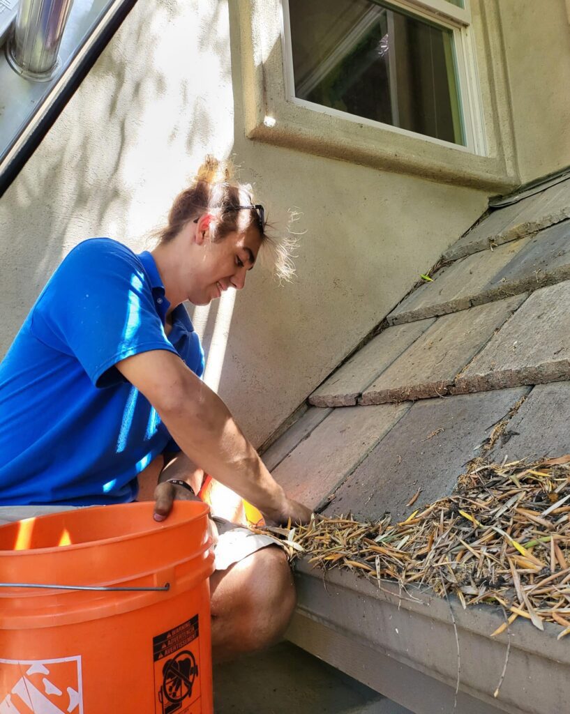 Downside Of Cleaning Your Gutters Yourself