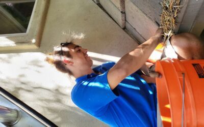 6 Negatives Of Cleaning Your Gutters On Your Own