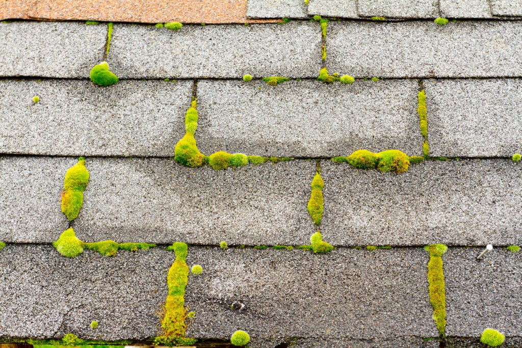 Removing Moss From Your Home With Sierra Vista Maintenance Overdue for a roof cleaning void your roof warranty