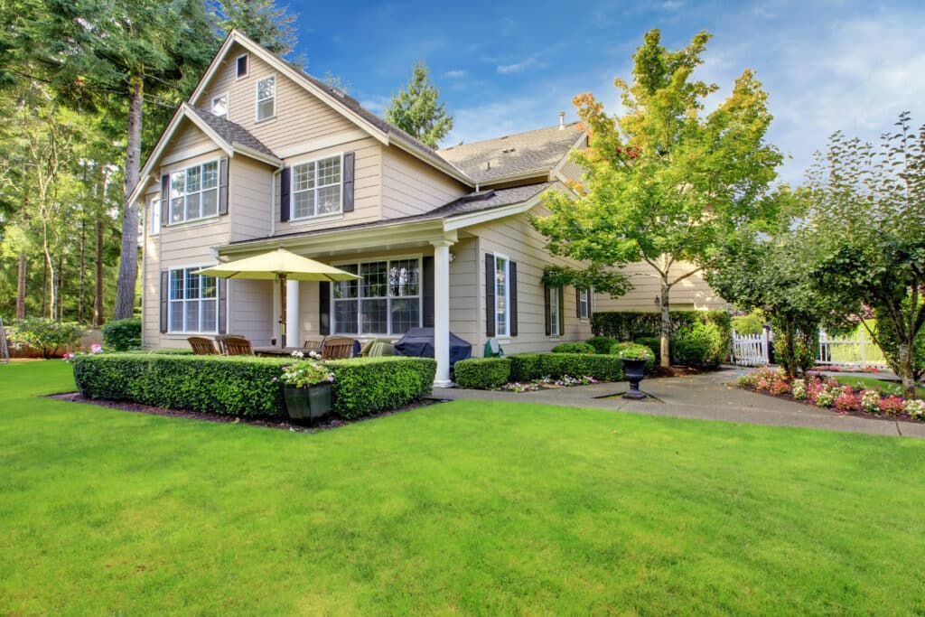 7 Tips For Homes With Large Trees 7 Tips For Homes With Large Trees