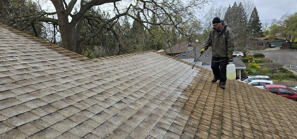roof cleaning services sacramento area