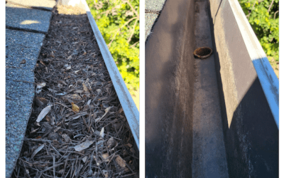 Top Gutter Cleaning Services in Roseville, California