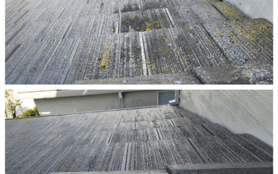 Top Roof Cleaning Services in Roseville, CA: Sierra Vista Maintenance