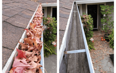 Sierra Vista Maintenance: The Ultimate Guide to Gutter Cleaning Services in Arden Arcade Sacramento