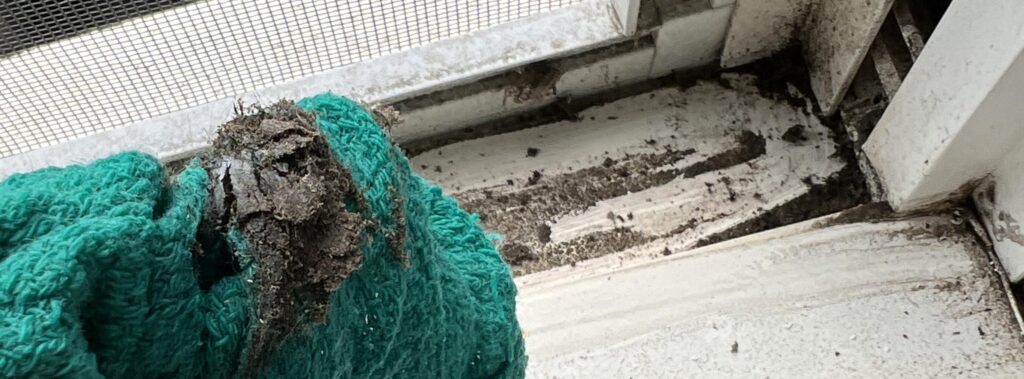 The Complete Window Cleaning & Exterior Maintenance Guide for the Greater Sacramento Area dust accumulation on windows sierra vista maintenance