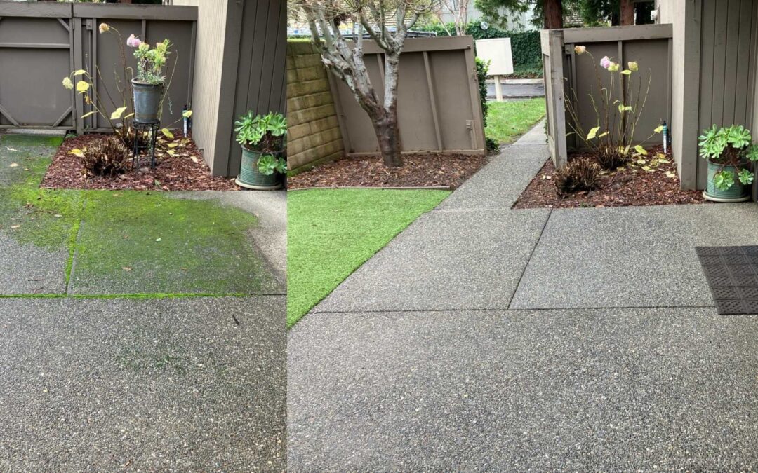 Pressure Washing in Sacramento: Which Wash Your Surfaces Actually Need