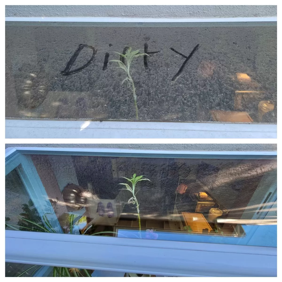 window cleaning services