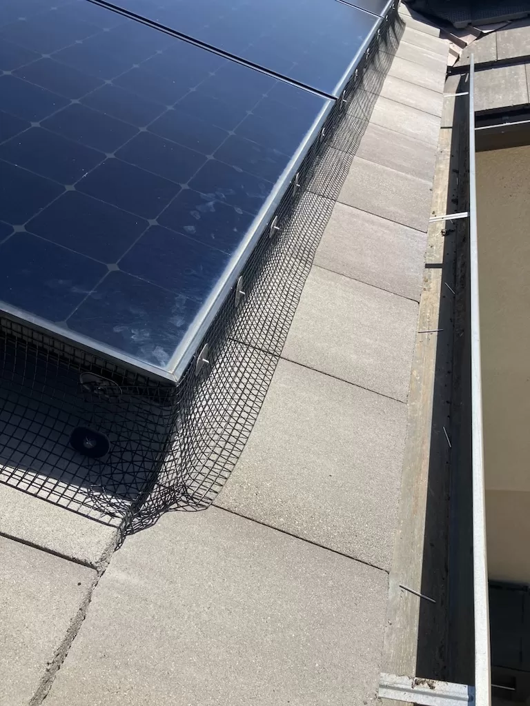 solar panel maintenance mesh keep clear underneath your solar panels prevent pests
