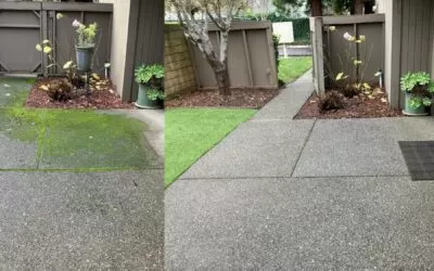 New Home Pressure Washing in Sacramento: Which Wash Your Surfaces Actually Need